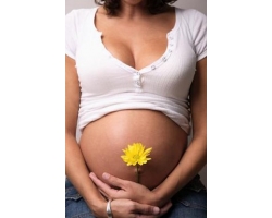 Зачатие, протекание беременности, роды